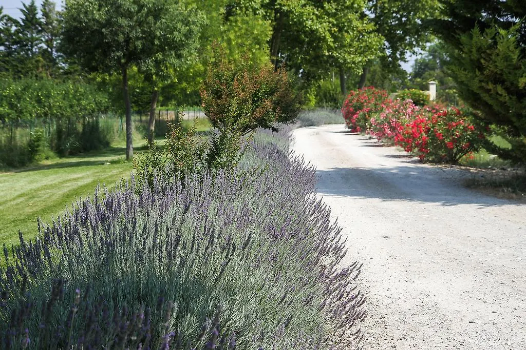 Les Carmes&spa Le Thor